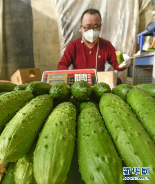 市渝水区罗坊镇四元村的菜农在蔬菜基地加工准备用于网络销售的蔬菜