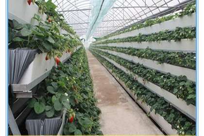 30 蔬菜种植槽,瓜果蔬菜立体种植栽培槽 百业网