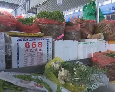 野菜上市!淄博正式进入“舌尖上的春天”!