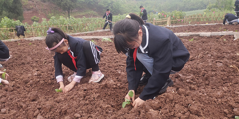 遂宁市城北教育联盟开展劳动实践基地种植活动